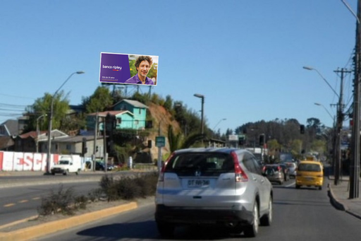 Concepción | Av. Paicaví con El Carmen S-N | Monumental